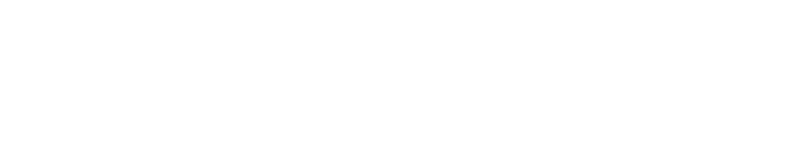 socialfare-bianco Logo SocialFare bianco