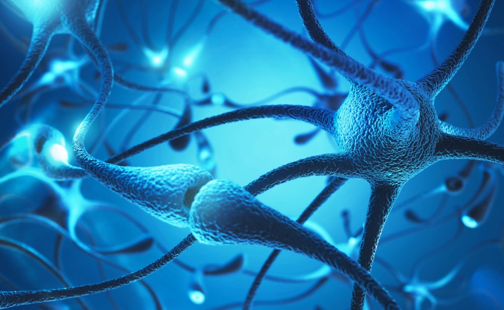 neuroni, sclerosi multipla, demielizzazione