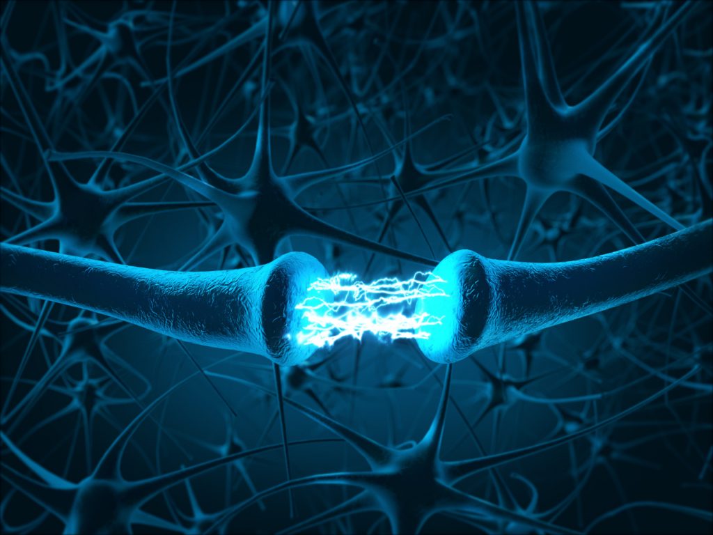 neuroni, proteina